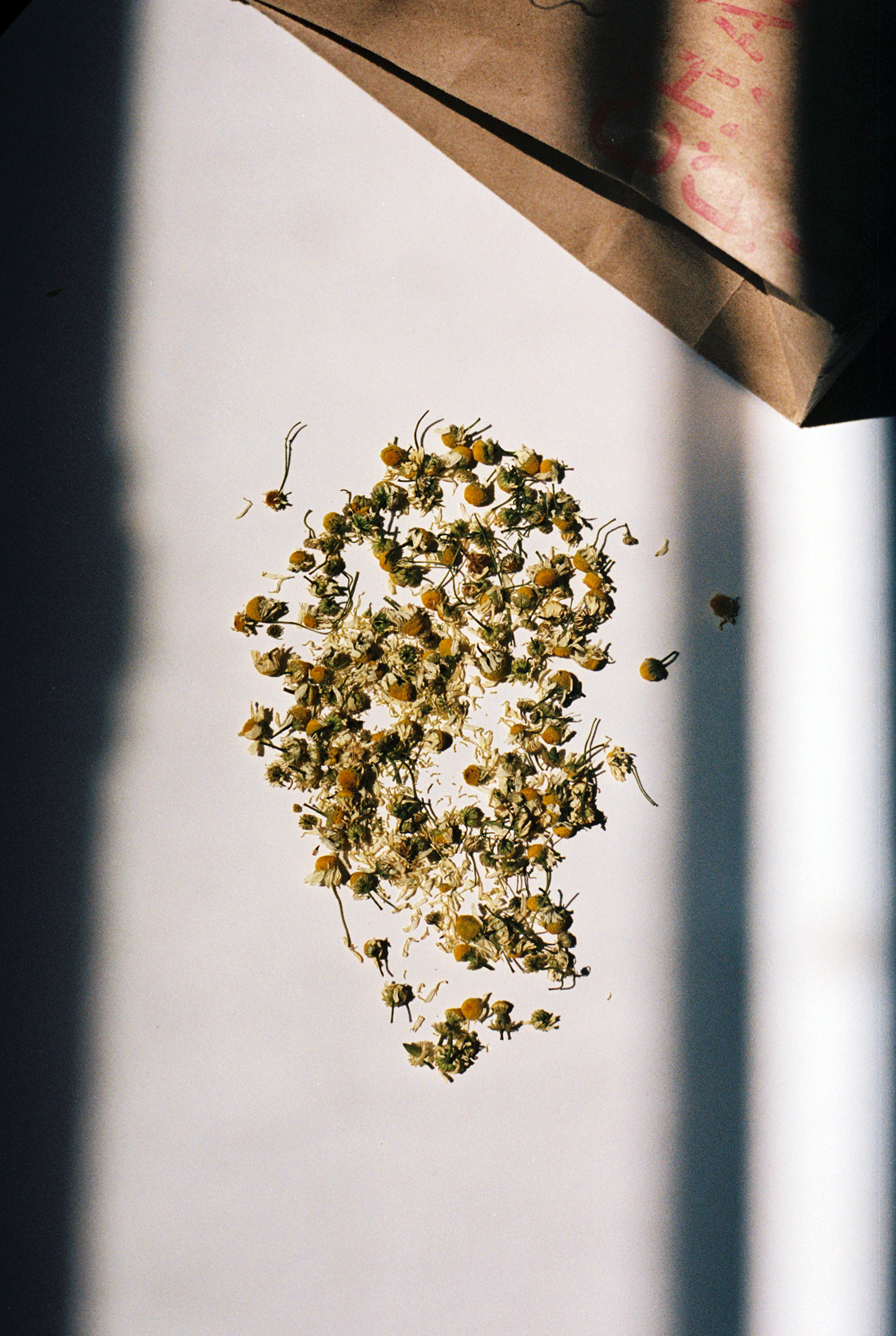 Chamomile