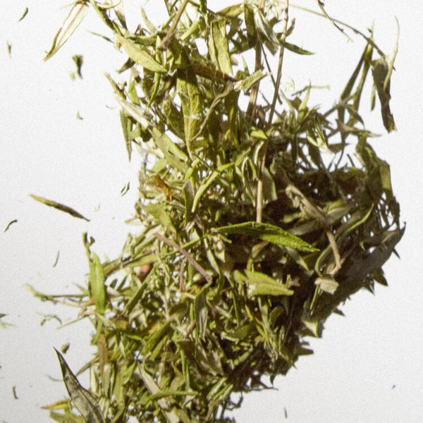 Mugwort