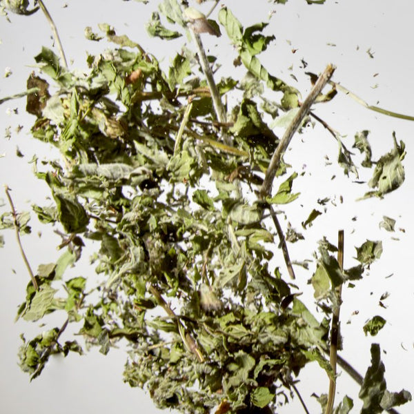 Nettle