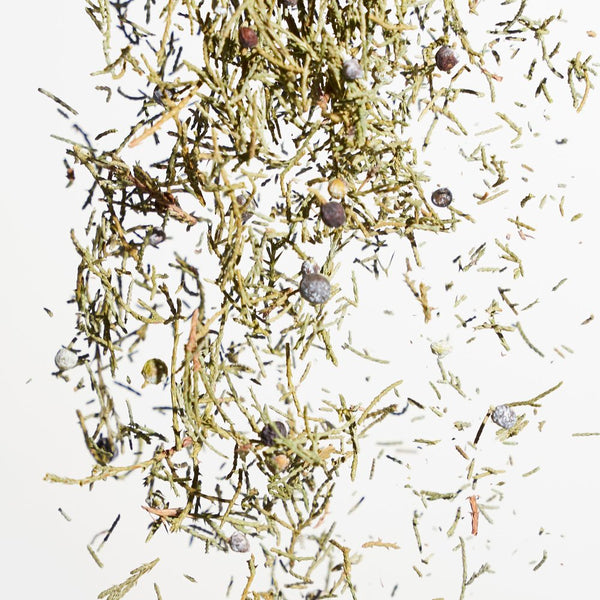 Wild Juniper