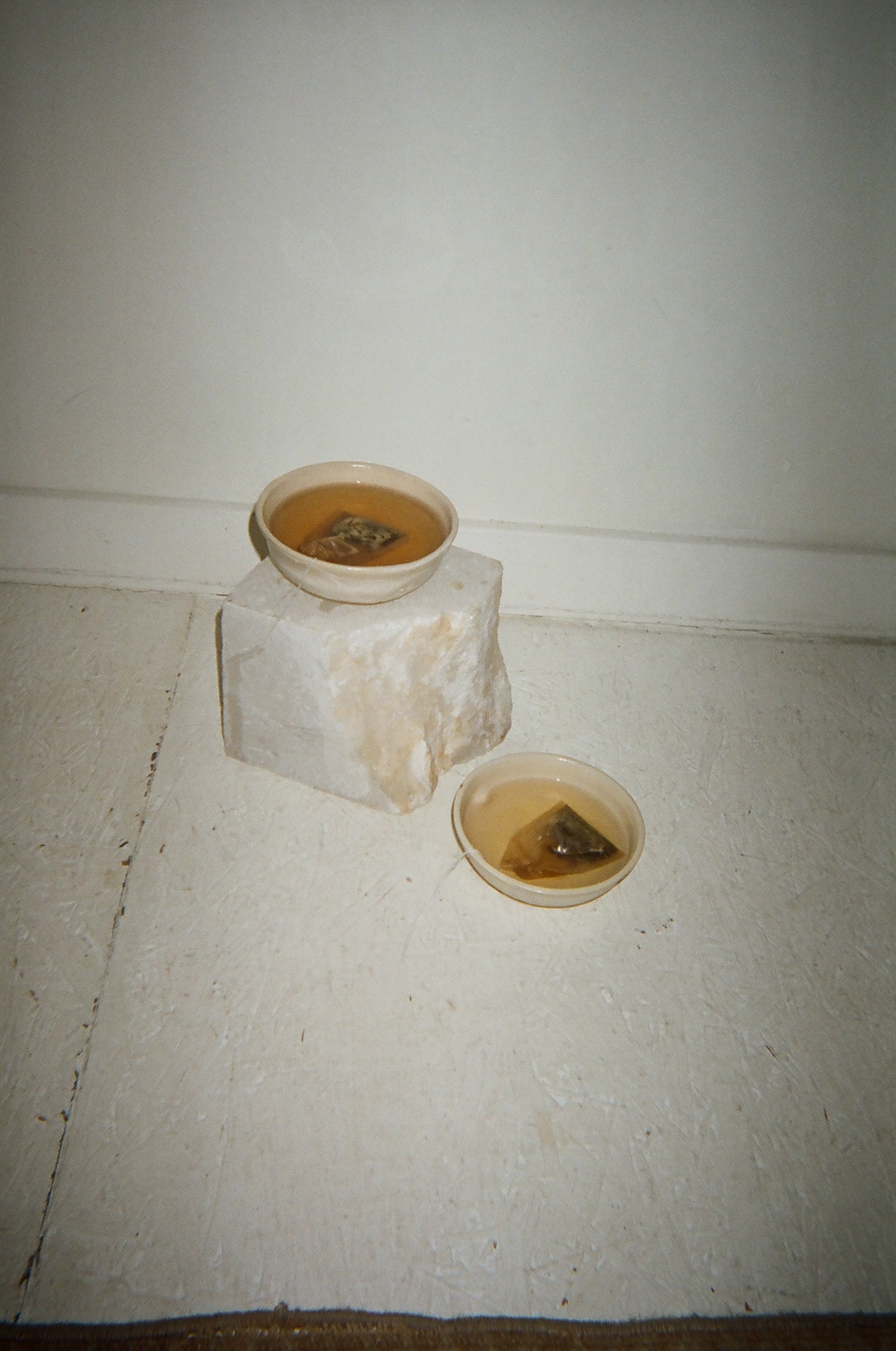 100 Tea Filters
