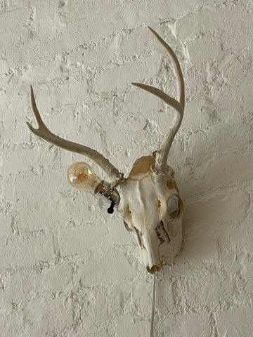 skull lamp, hanging