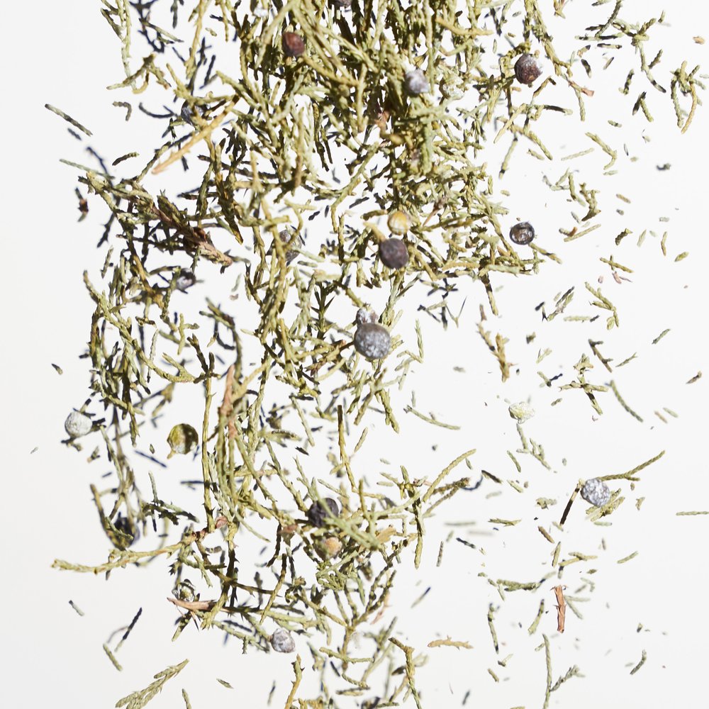 Wild Juniper
